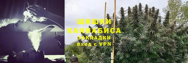 гидра Алексеевка